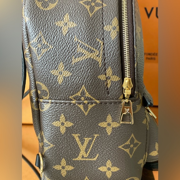 Louis Vuitton Palm Springs Mini - Picture 4 of 16